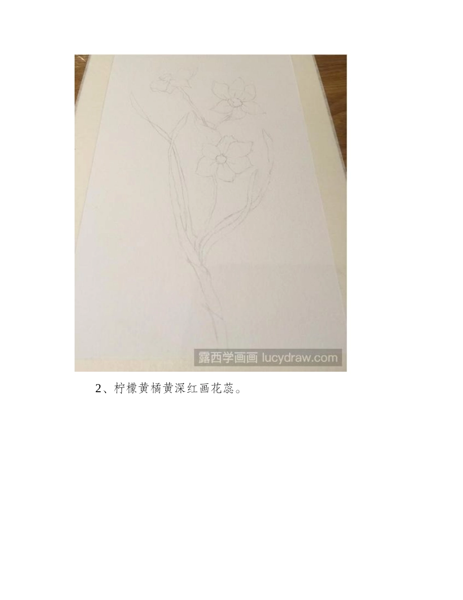 水仙花水彩画步骤水彩画教程_第2页