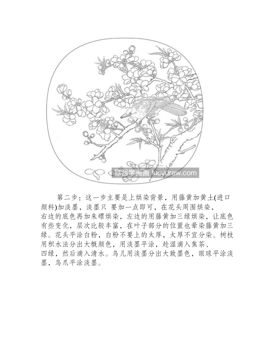 桃花黄鸟怎么画_工笔画绘画流程是什么_工笔画教程_第2页