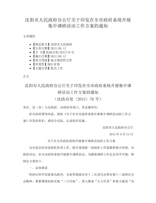 沈阳市人民政府办公厅关于印发在全市政府系统开展集中调研活动工作方 精品