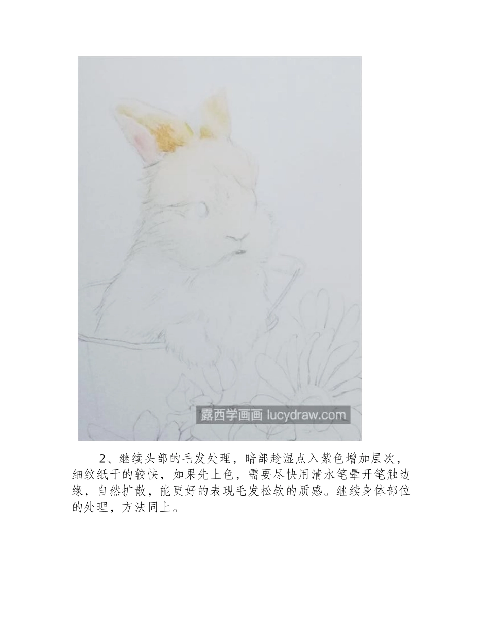 水彩兔子怎么画_绘画过程是什么_水彩画教程_第2页