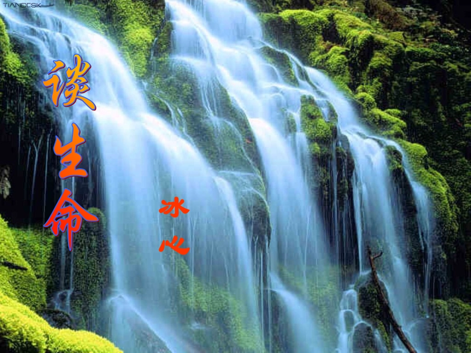 《谈生命》课件1_第1页