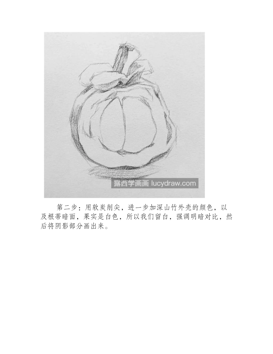 山竺怎么画_莽吉柿的素描画法是什么_素描教程_第2页