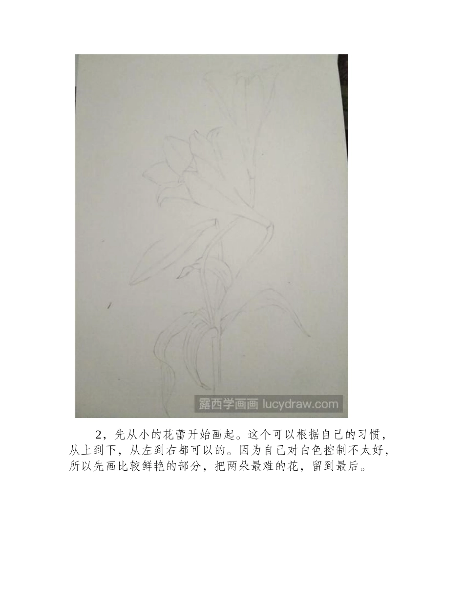 水彩百合花教程水彩画教程_第2页
