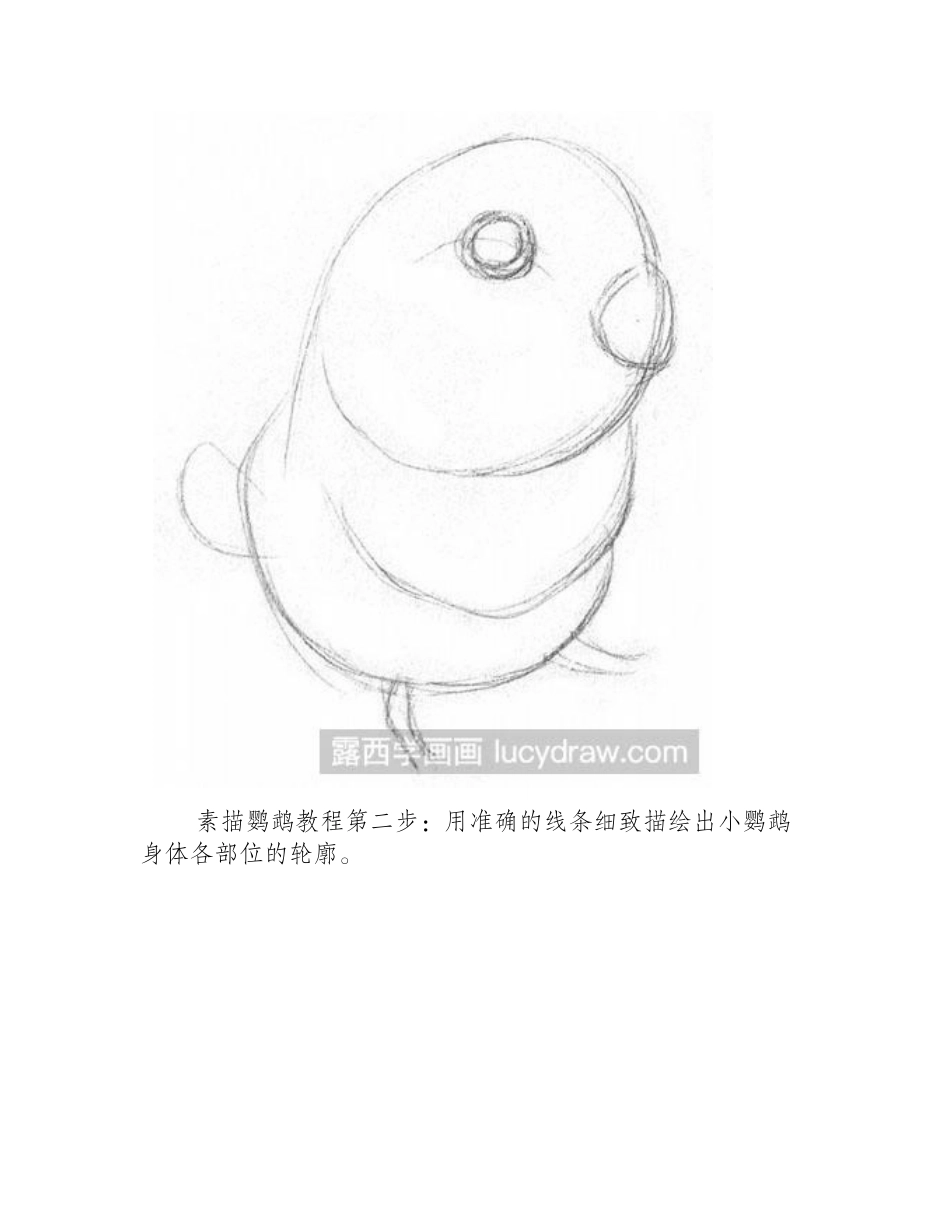 素描教程：鹦鹉绘画步骤素描教程_第2页
