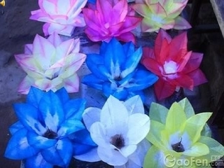 三年级上册劳技课《花球朵朵》课件