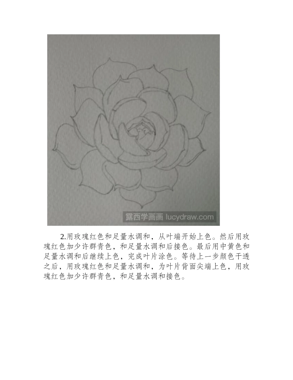 水彩画教程：多肉—皮氏石莲水彩画教程_第2页