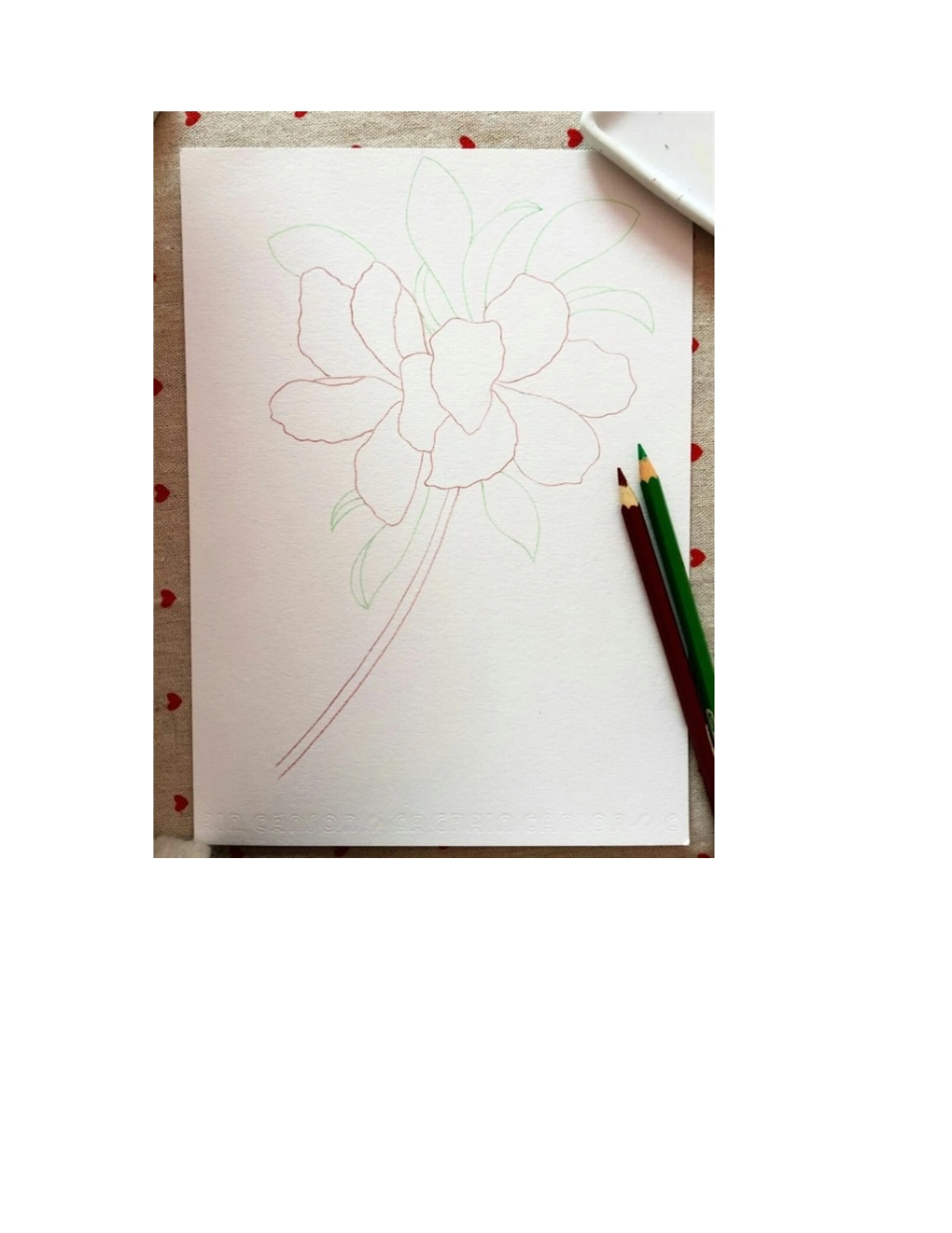 水彩画花教程步骤图片教程水彩画教程1_第2页