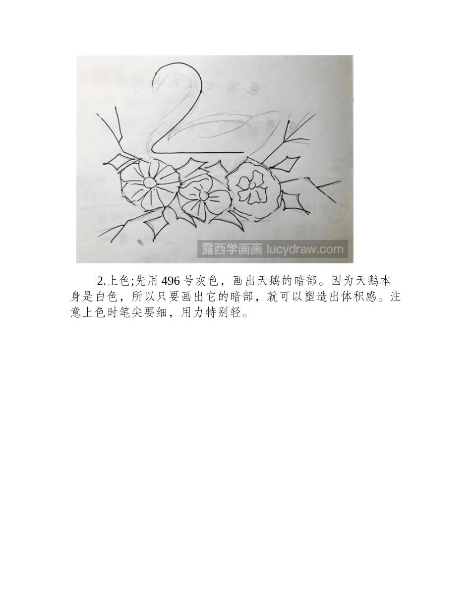 天鹅彩铅画教程彩铅画教程_第2页