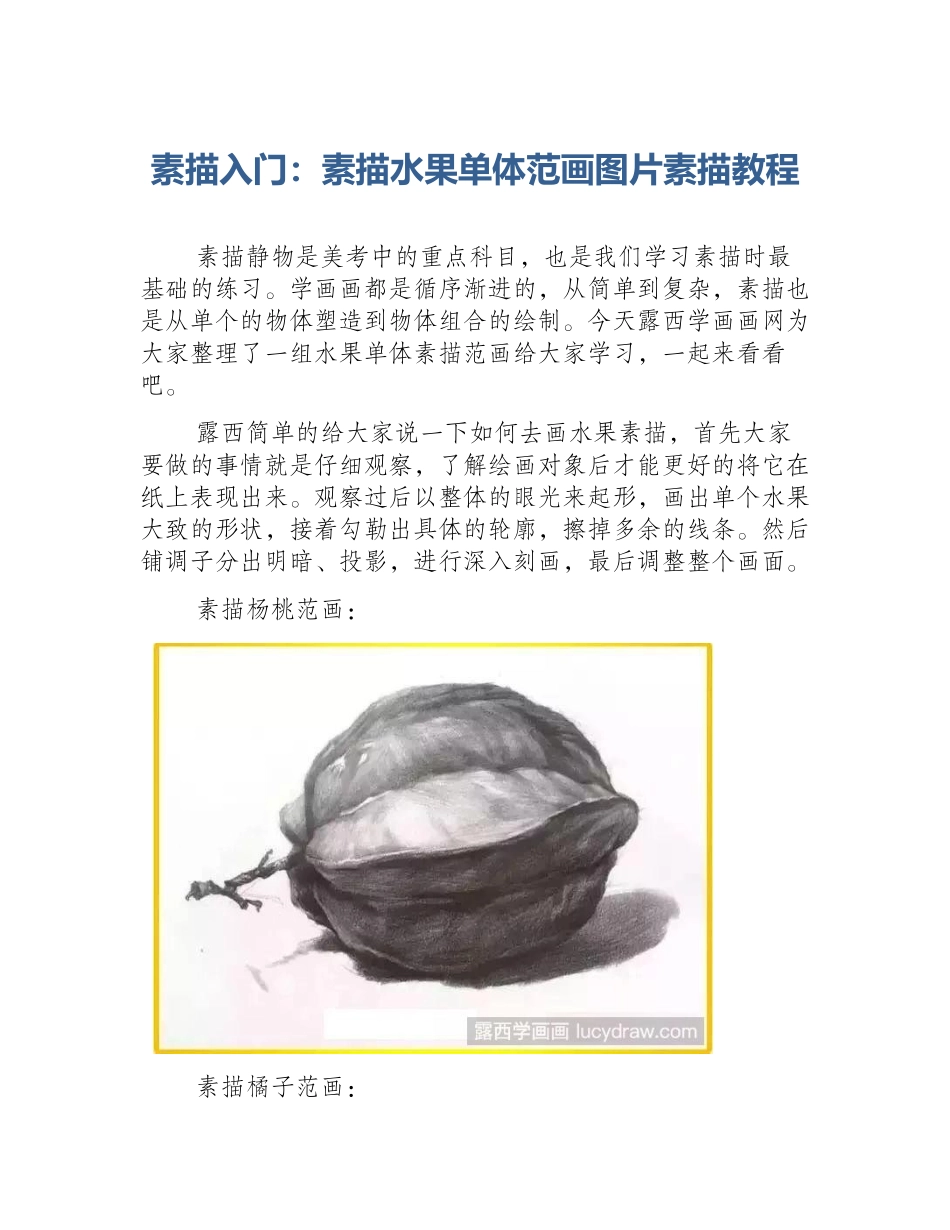 素描入门：素描水果单体范画图片素描教程_第1页