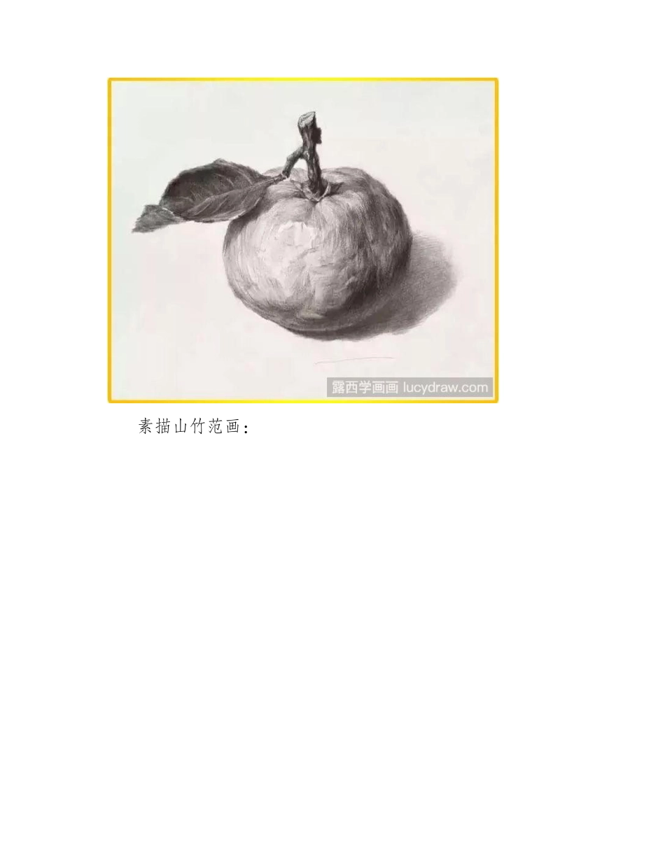 素描入门：素描水果单体范画图片素描教程_第2页