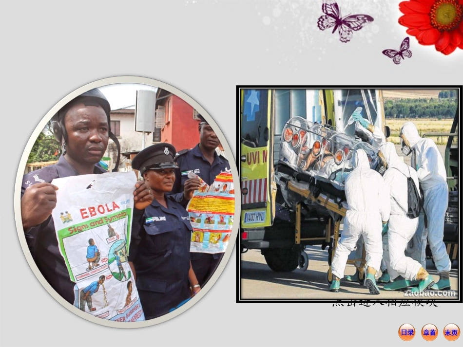 微生物在生物圈中的作用课件_北师大版_第2页