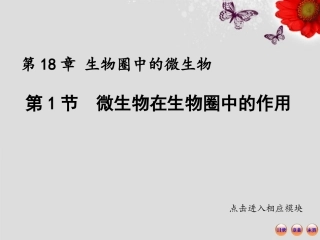 微生物在生物圈中的作用课件_北师大版