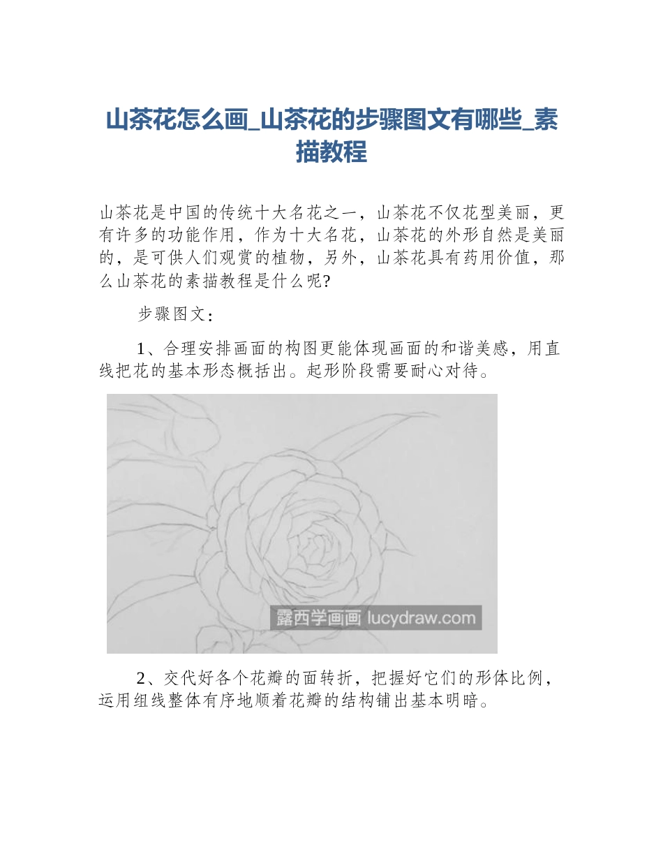山茶花怎么画_山茶花的步骤图文有哪些_素描教程_第1页