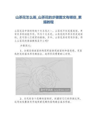 山茶花怎么画_山茶花的步骤图文有哪些_素描教程