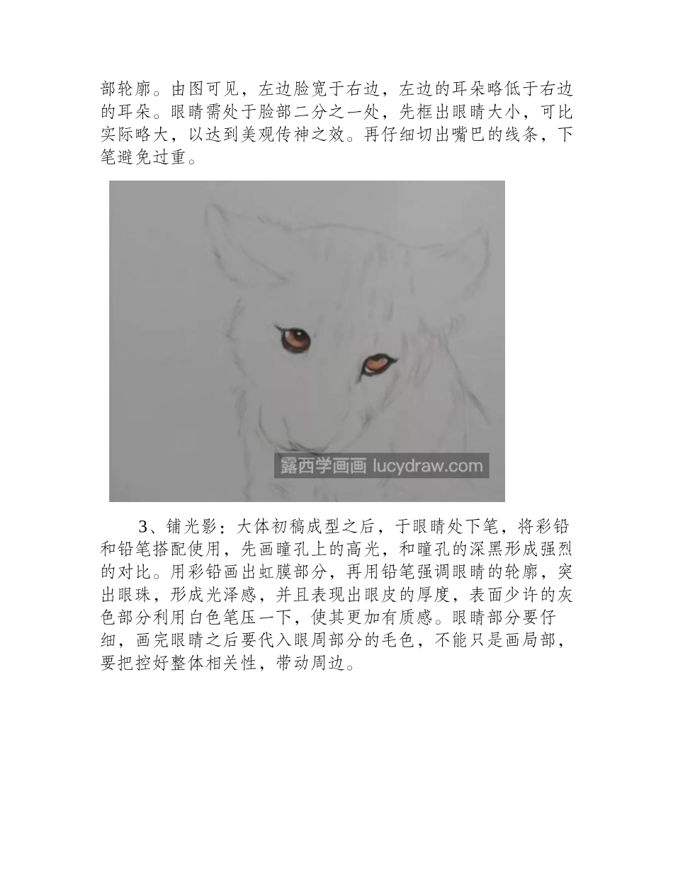 狮子的画法是什么_素描狮子有哪些步骤_素描教程_第2页