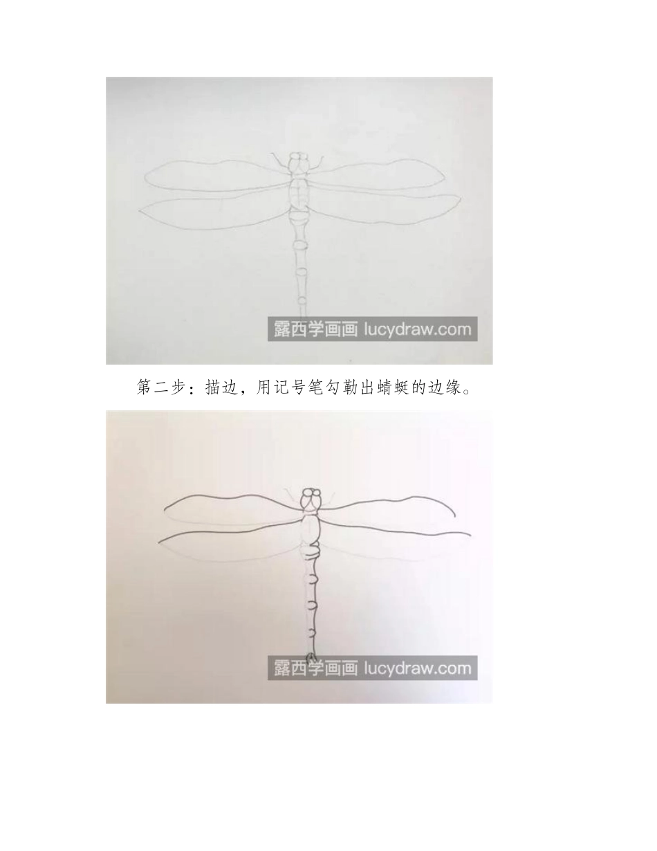 蜻蜓怎么画_蚂螂的水彩画步骤有哪些_水彩画教程_第2页