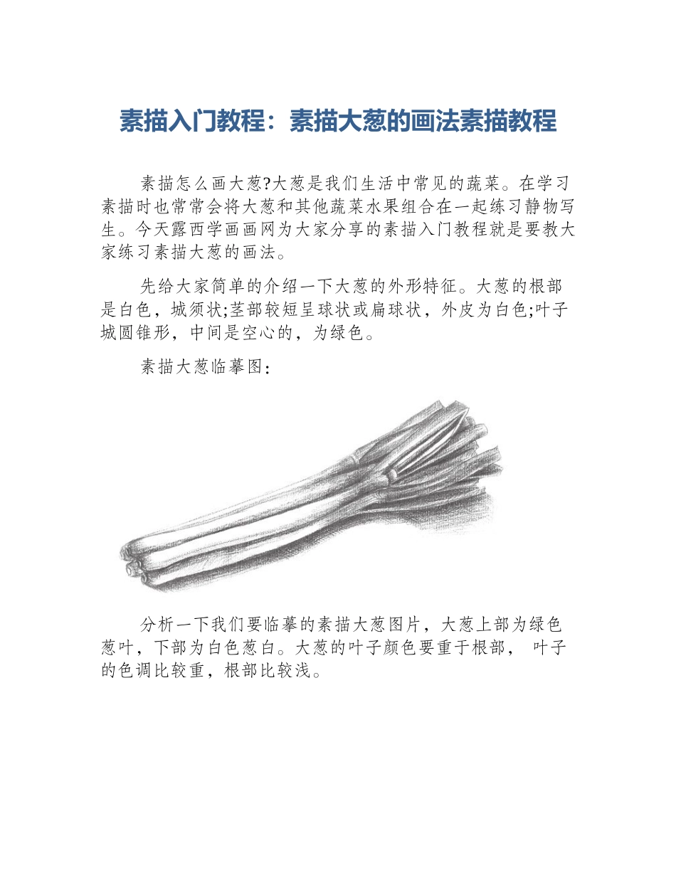 素描入门教程：素描大葱的画法素描教程_第1页