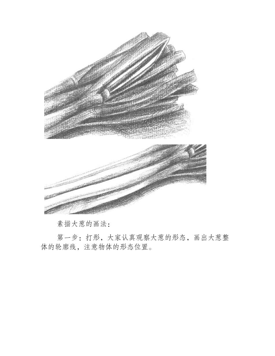 素描入门教程：素描大葱的画法素描教程_第2页