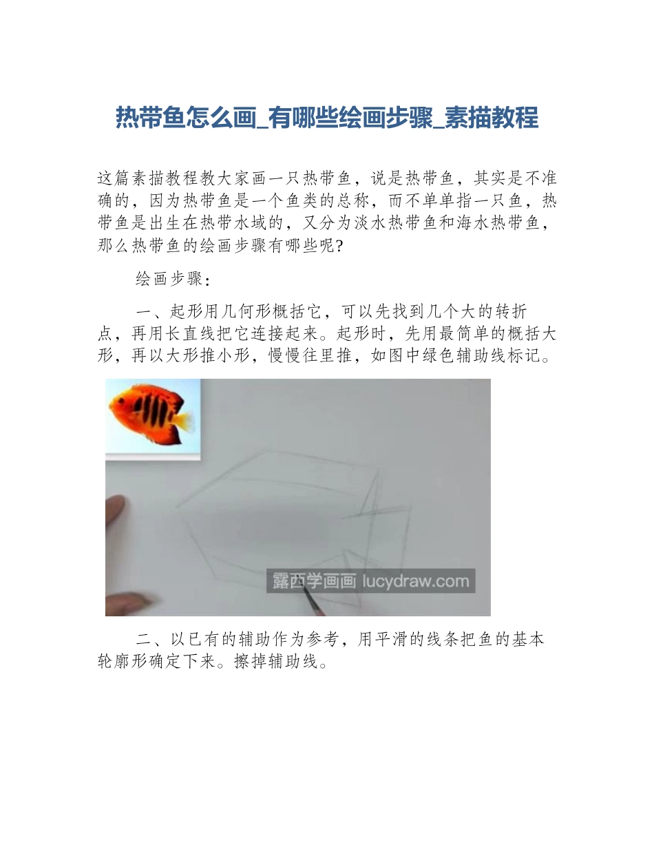 热带鱼怎么画_有哪些绘画步骤_素描教程_第1页