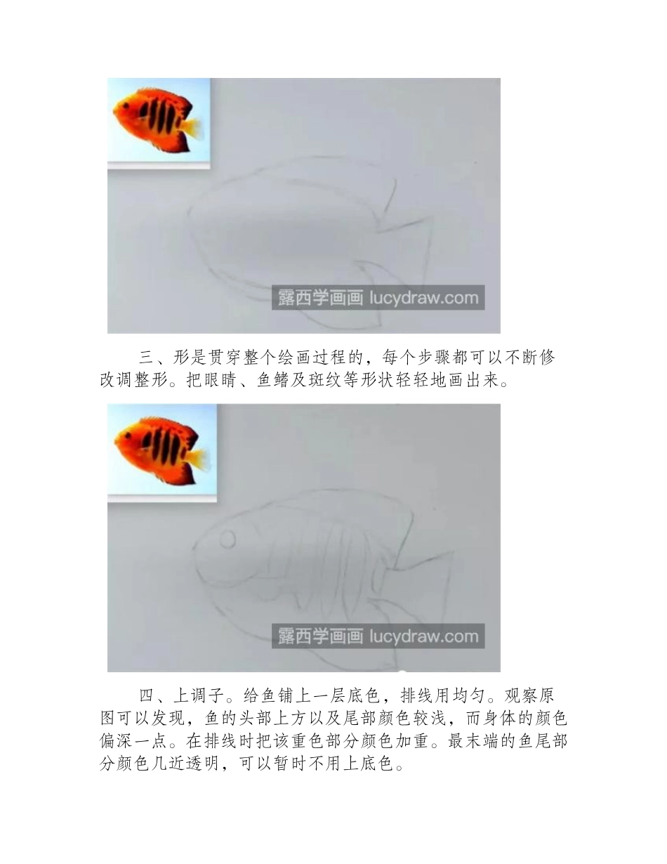 热带鱼怎么画_有哪些绘画步骤_素描教程_第2页