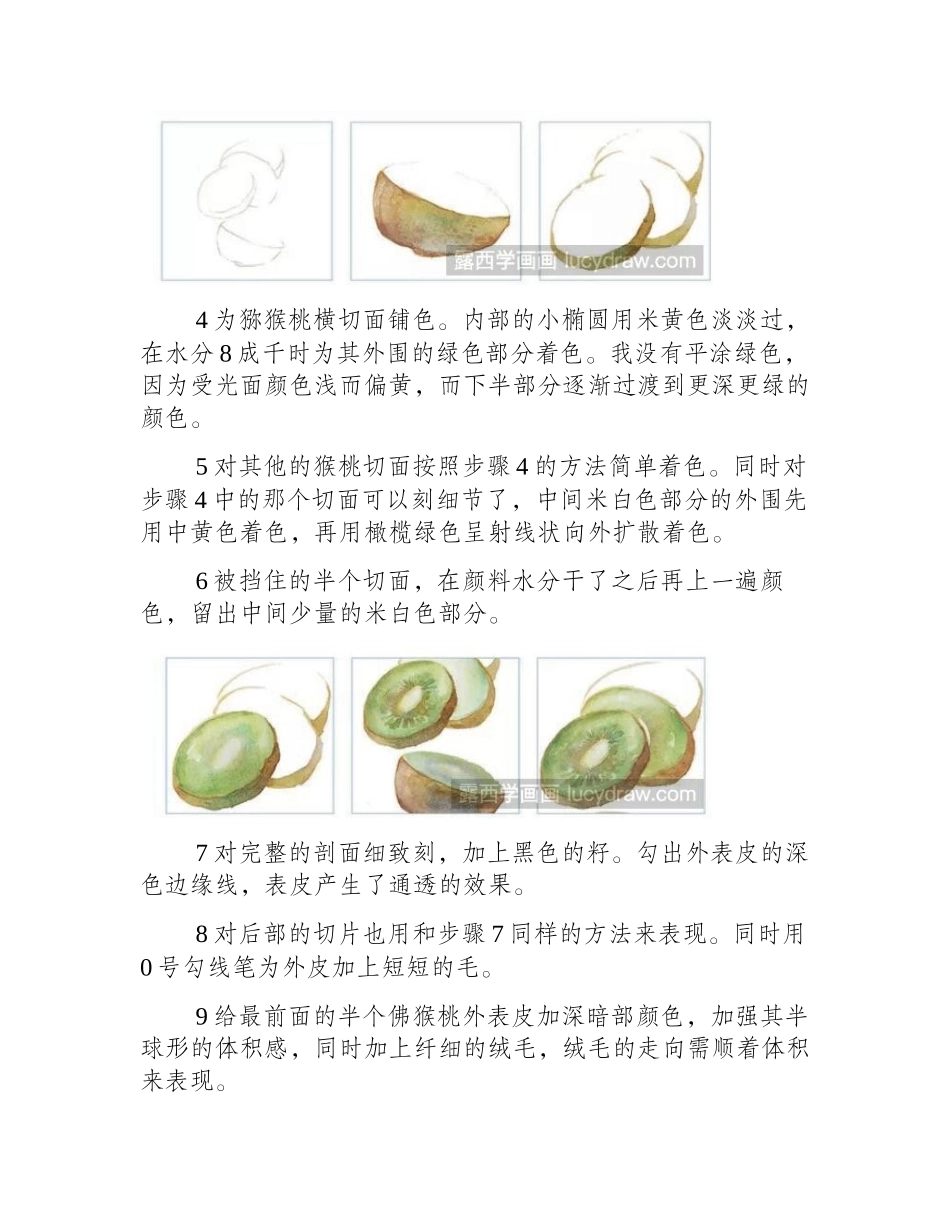 水彩画教程：怎么画猕猴桃水彩画教程_第2页