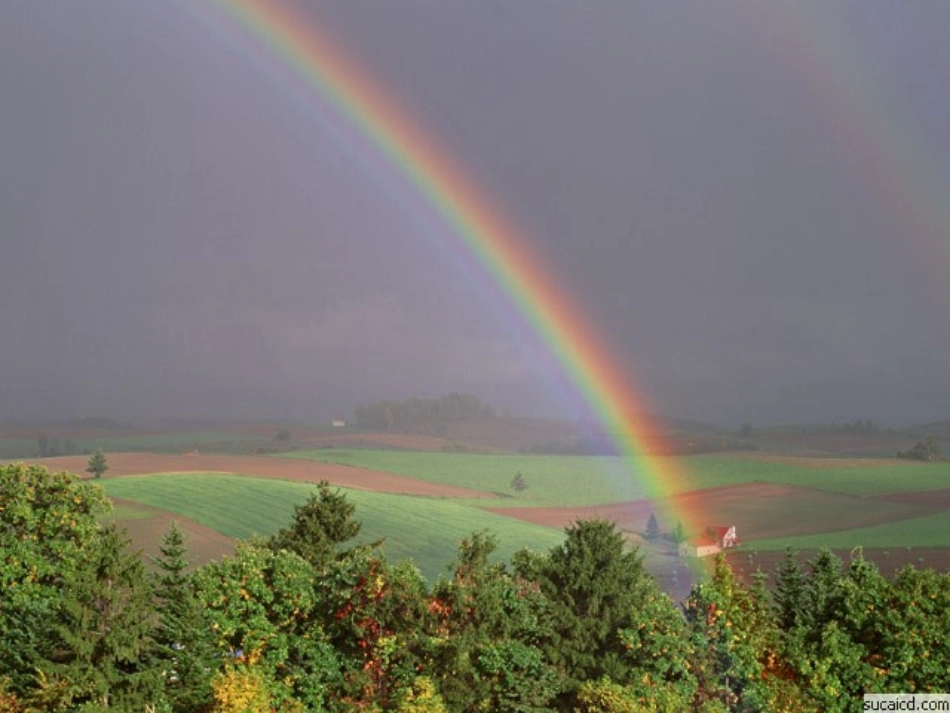 七年级政治下册__第5课_缤纷情感课件_教科版_第1页