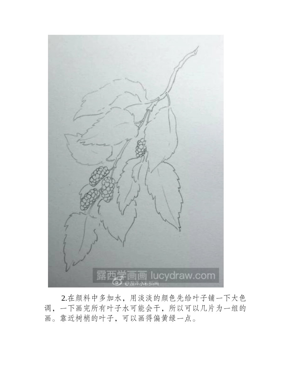 水彩画桑葚步骤教程水彩画教程_第2页