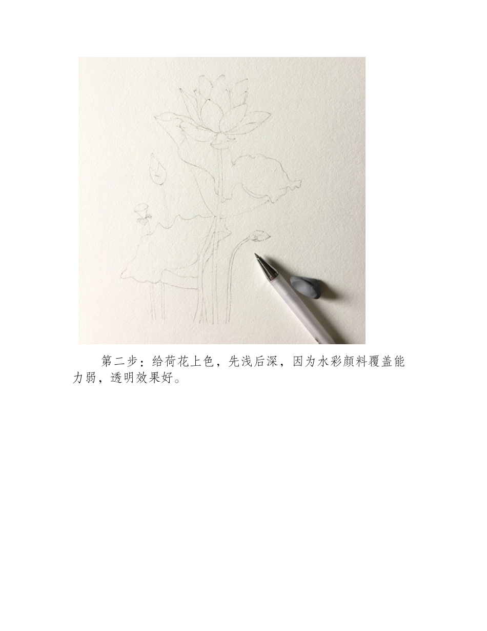 水彩画荷花教程：水彩荷花画法步骤水彩画教程8_第2页