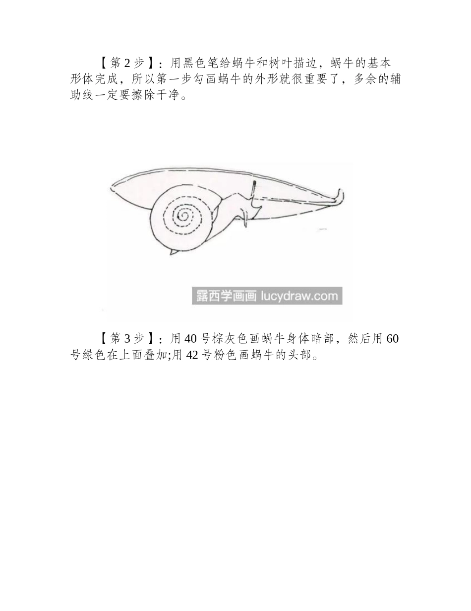 蜗牛怎么画_简单六个步骤教你画一只小蜗牛彩铅画教程_第2页