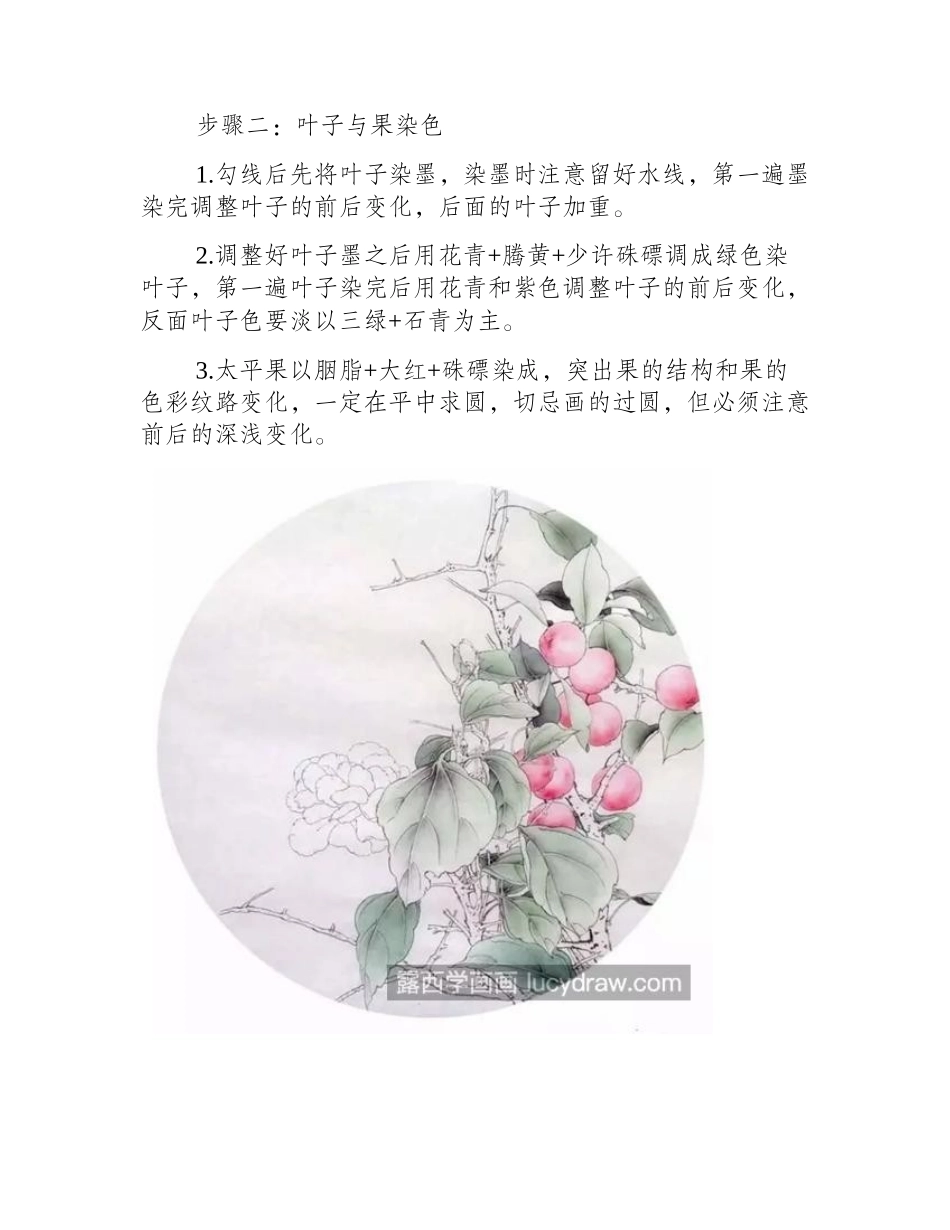 太平果怎么画_牡丹果子的设色步骤有几步_工笔画教程_第2页