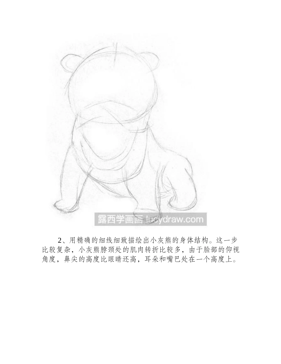 素描教程：小灰熊素描教程_第2页