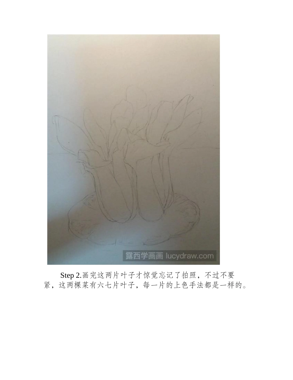 上海青的画法彩铅画教程_第2页