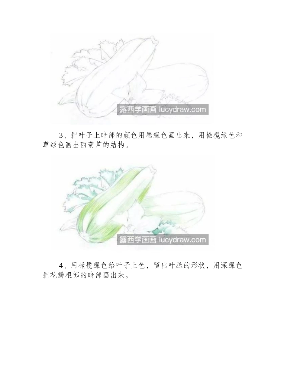 西葫芦怎么画_详细的彩铅画步骤有哪些_彩铅画教程_第2页