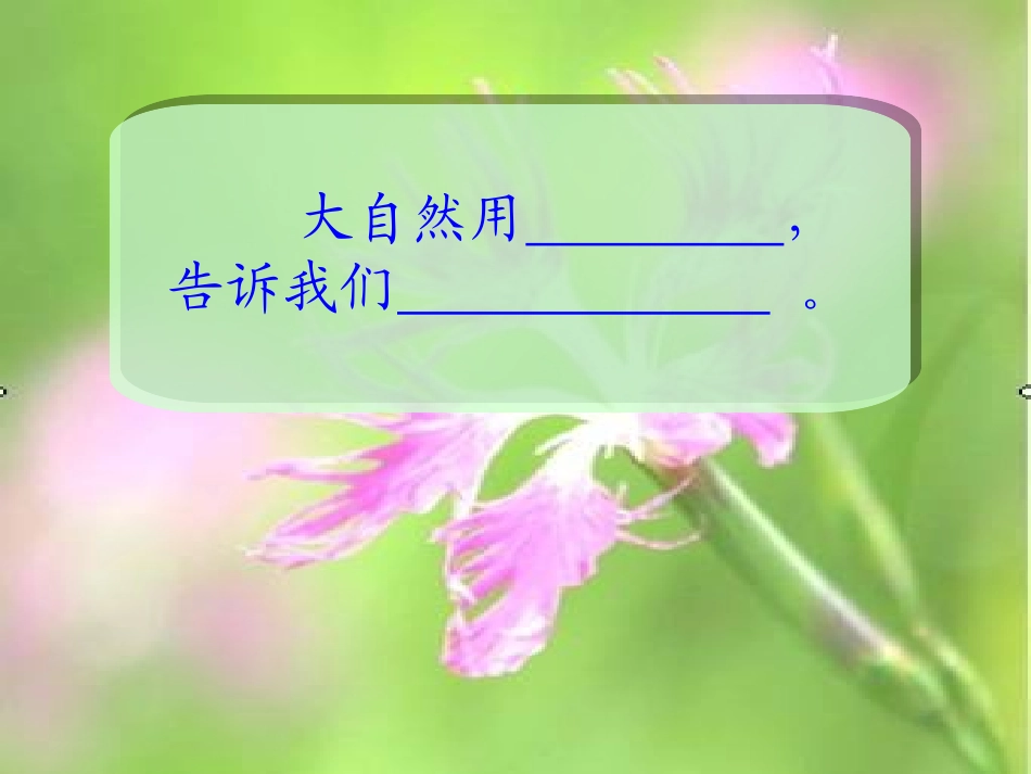 大自然的语言删_第2页