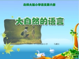 大自然的语言删