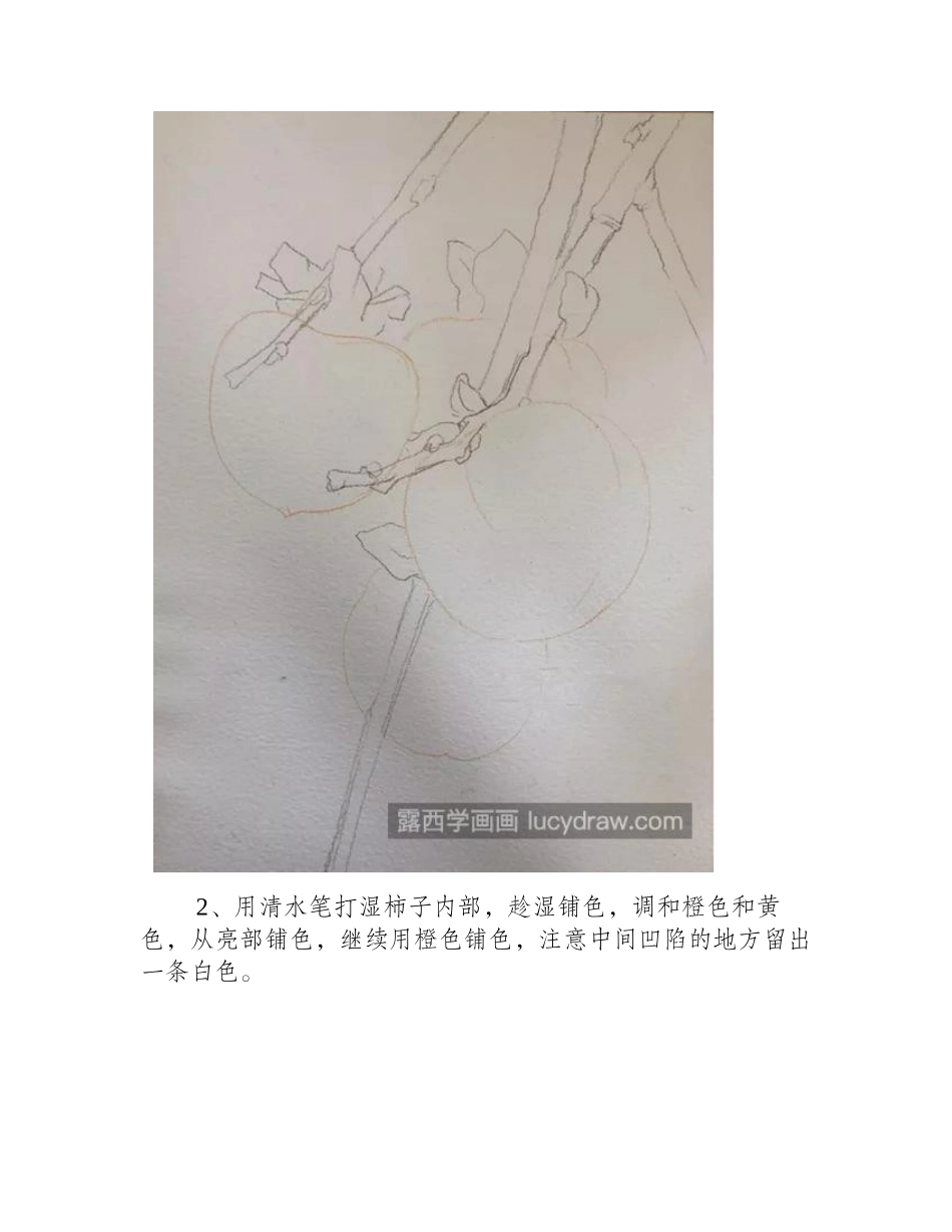 柿子怎么画_黄橙橙的柿子画法是什么_水彩画教程_第2页