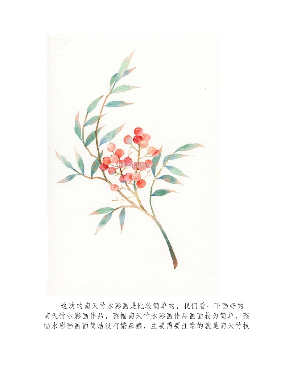 水彩画入门：简单的南天竹水彩画教程水彩画教程_第2页