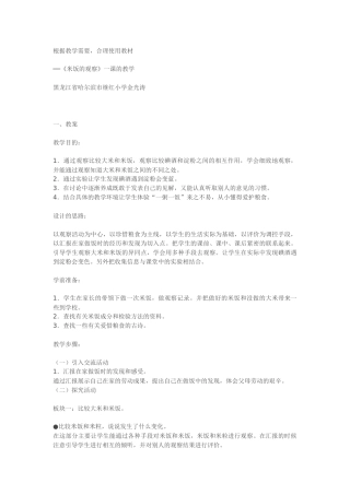 《米饭的观察》一课的教学