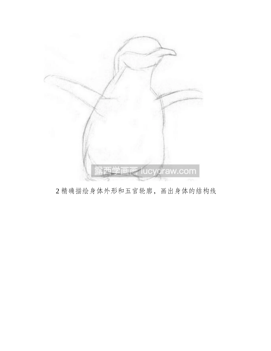 素描教程之如何画企鹅素描教程_第2页