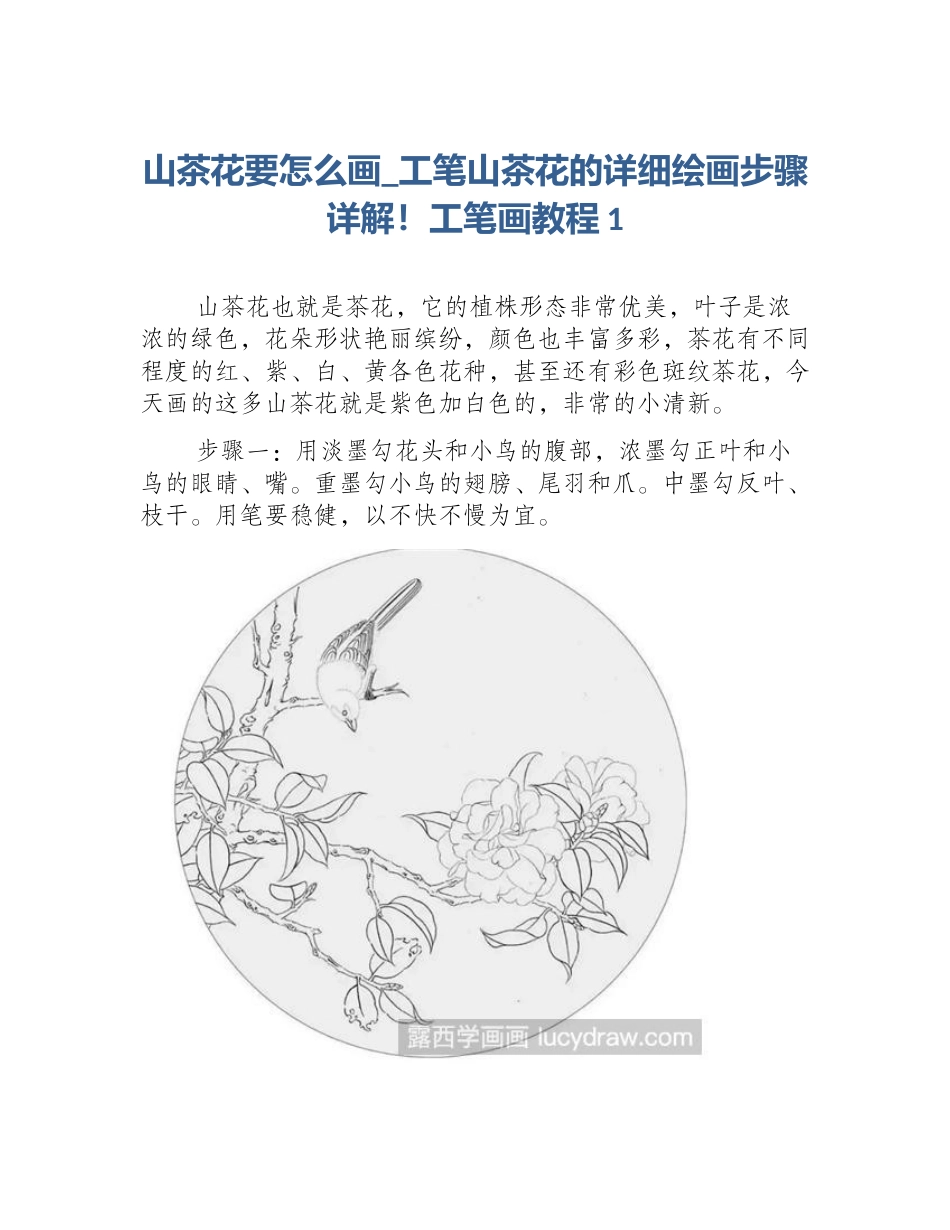山茶花要怎么画_工笔山茶花的详细绘画步骤详解！工笔画教程1_第1页