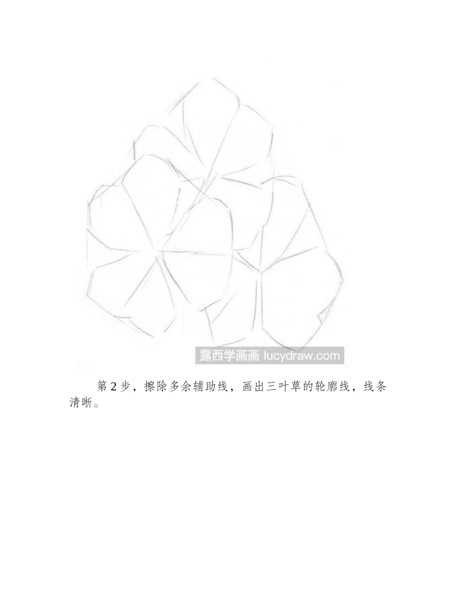 三叶草素描教程素描教程_第2页