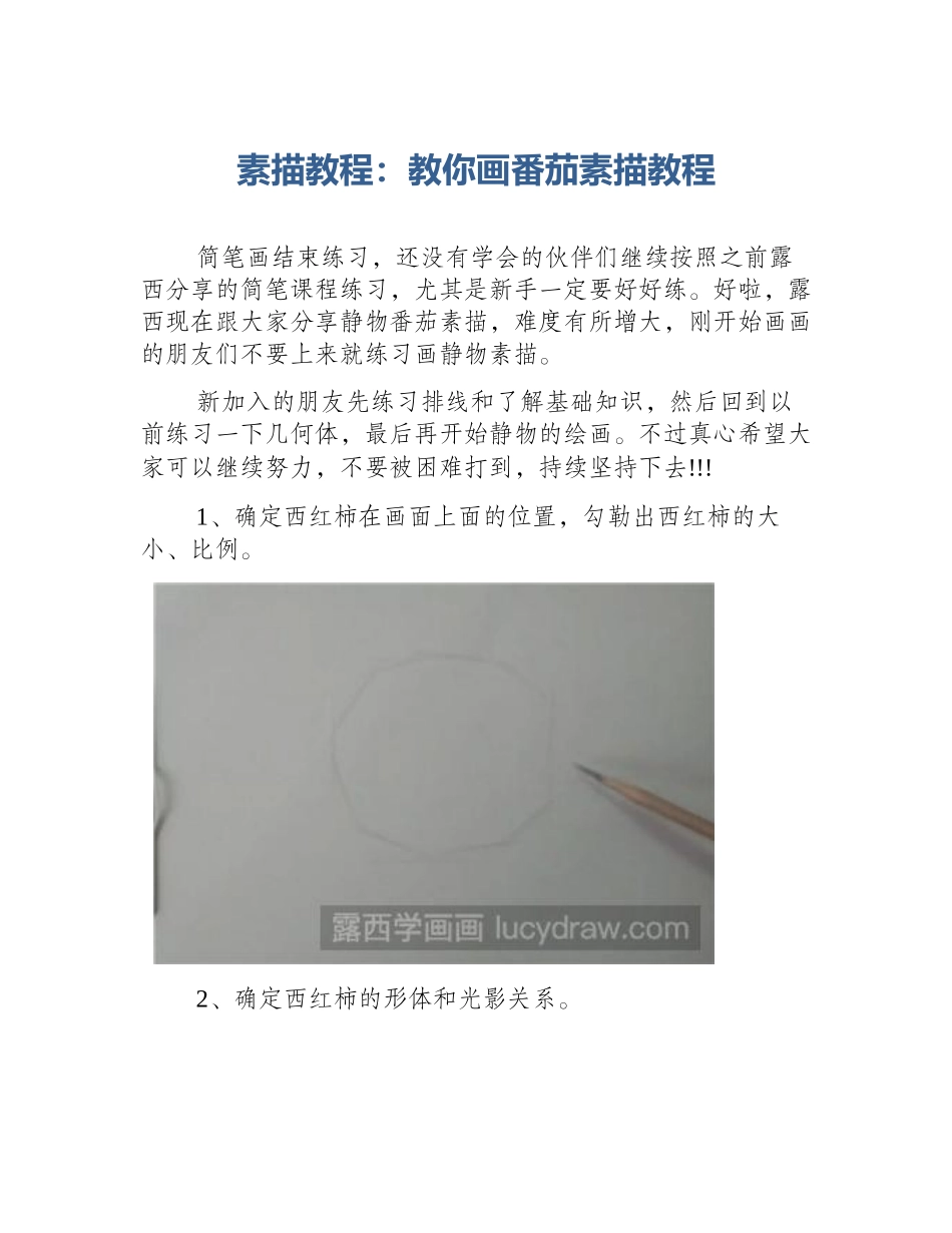素描教程：教你画番茄素描教程_第1页