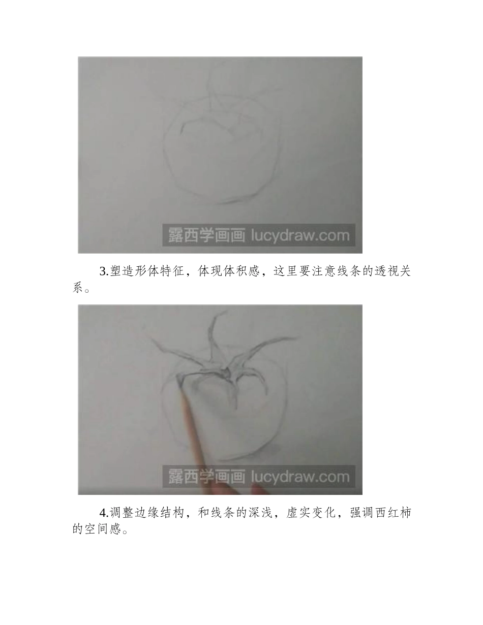 素描教程：教你画番茄素描教程_第2页