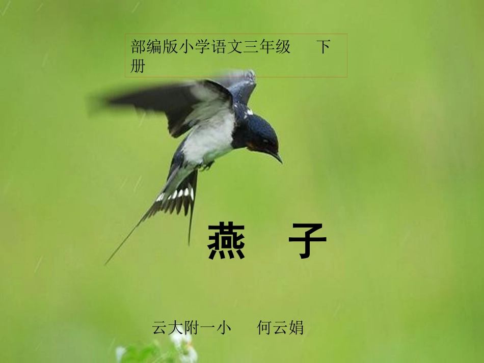 《燕子》课件  何云娟_第1页
