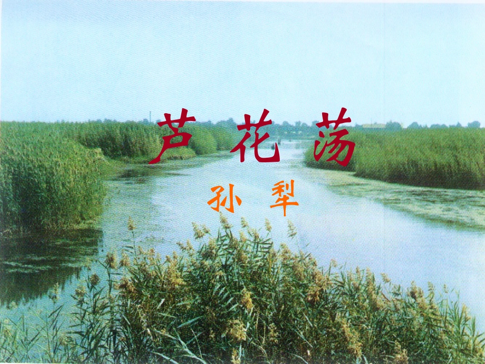 《芦花荡》讲课用课件_第1页