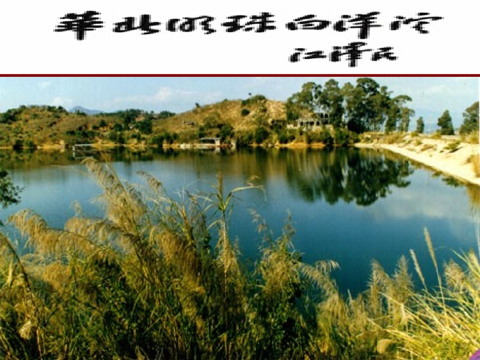 《芦花荡》讲课用课件_第2页
