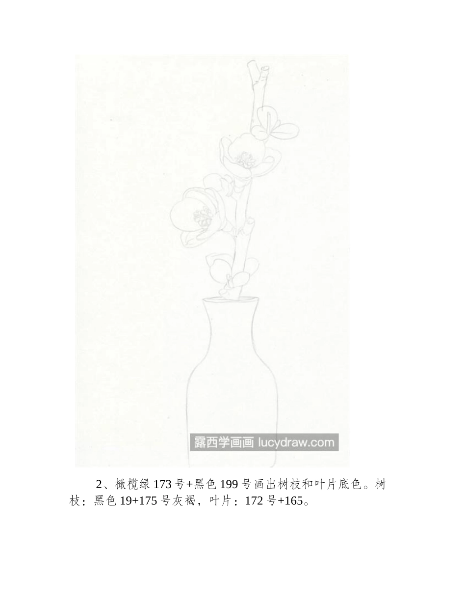 贴梗海棠怎么画_彩铅绘画步骤有哪些_彩铅画教程_第2页