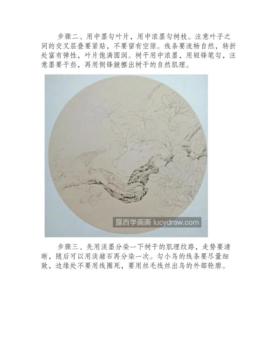 虬枝上的麻雀怎么画_绘画步骤有几步_工笔画教程_第2页