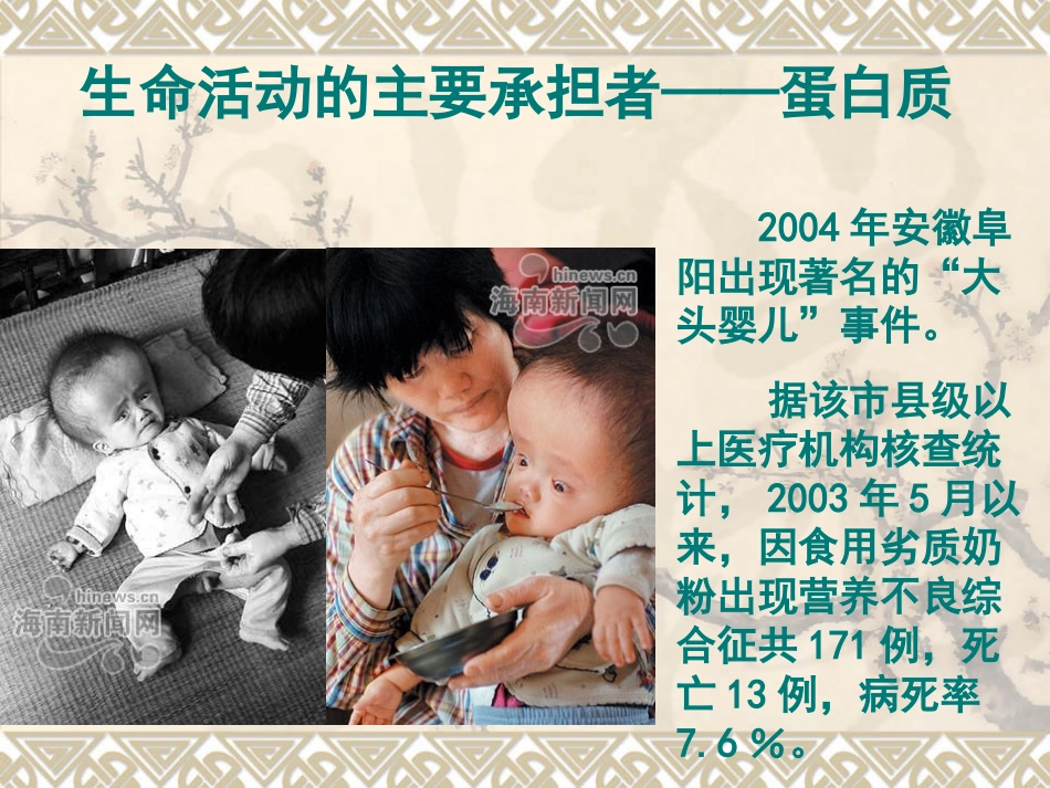 高中生物课件生命活动的主要承担者——蛋白质修订_第1页