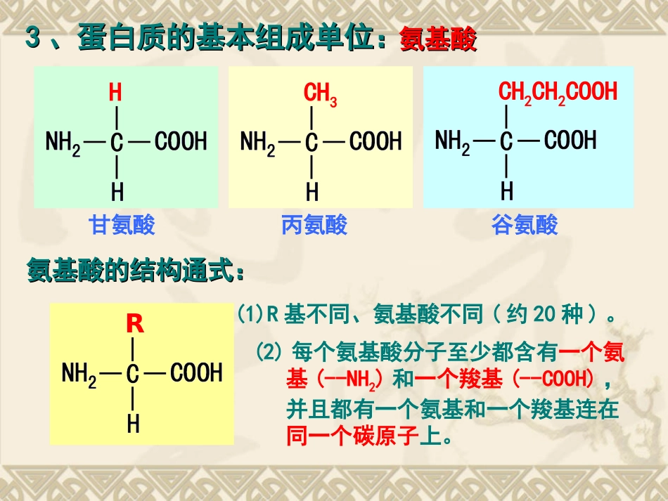 高中生物课件生命活动的主要承担者——蛋白质修订_第3页